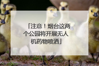 注意！烟台这两个公园将开展无人机药物喷洒