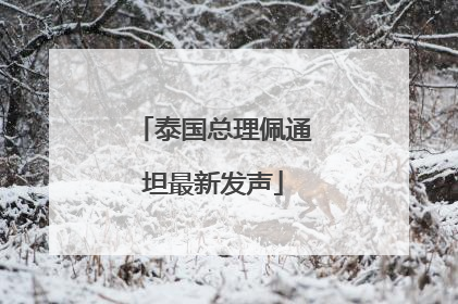 泰国总理佩通坦最新发声