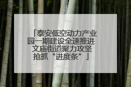 泰安低空动力产业园一期建设全速推进 文庙街道聚力攻坚抢抓“进度条”