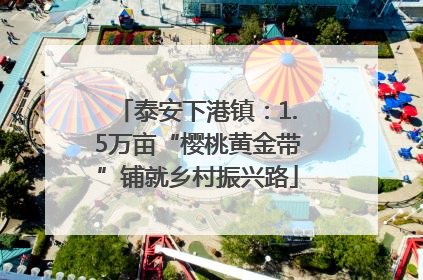 泰安下港镇：1.5万亩“樱桃黄金带”铺就乡村振兴路