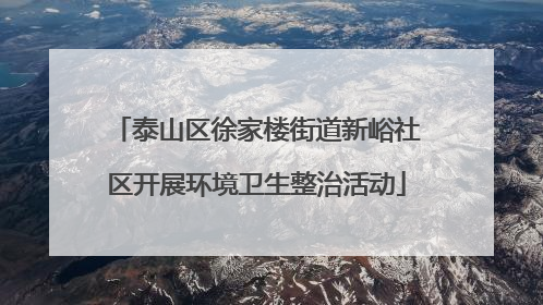 泰山区徐家楼街道新峪社区开展环境卫生整治活动