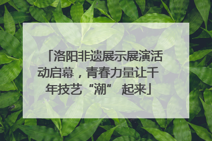 洛阳非遗展示展演活动启幕，青春力量让千年技艺“潮” 起来