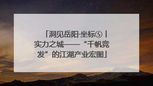 洞见岳阳·坐标⑤丨实力之城——“千帆竞发”的江湖产业宏图