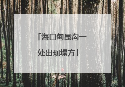海口甸昆沟一处出现塌方