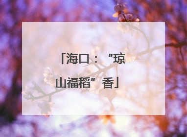 海口：“琼山福稻”香