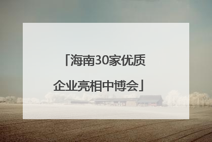 海南30家优质企业亮相中博会