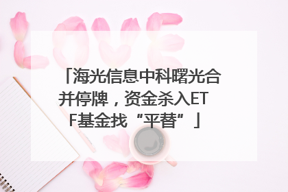 海光信息中科曙光合并停牌，资金杀入ETF基金找“平替”