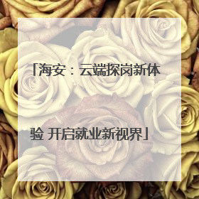 海安：云端探岗新体验 开启就业新视界