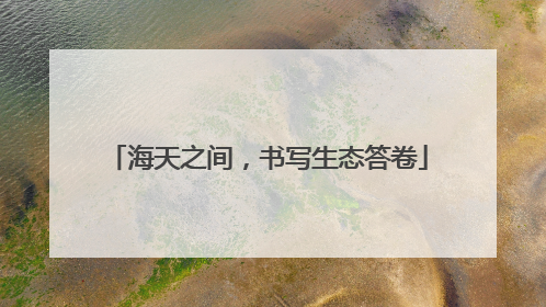 海天之间，书写生态答卷