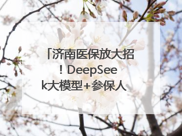 济南医保放大招！DeepSeek大模型+参保人画像 解锁AI医保管家新体验