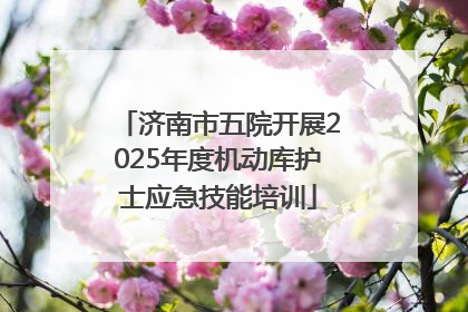 济南市五院开展2025年度机动库护士应急技能培训