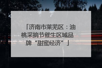 济南市莱芜区：油桃采摘节催生区域品牌“甜蜜经济”