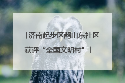 济南起步区鹊山东社区获评“全国文明村”