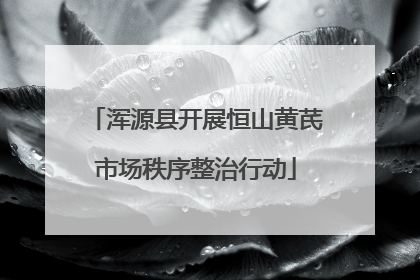 浑源县开展恒山黄芪市场秩序整治行动