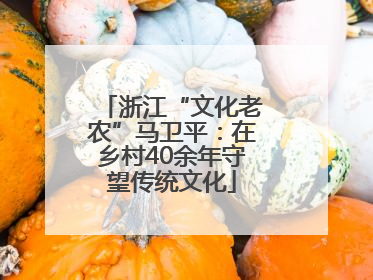 浙江“文化老农”马卫平：在乡村40余年守望传统文化