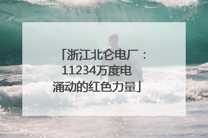浙江北仑电厂：11234万度电涌动的红色力量
