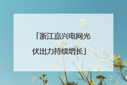 浙江嘉兴电网光伏出力持续增长