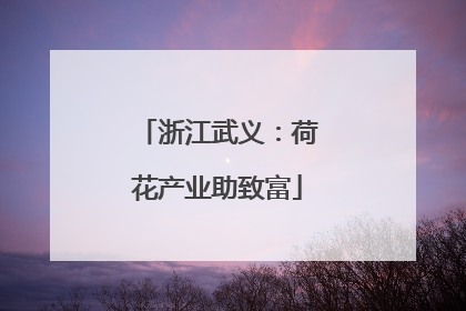 浙江武义：荷花产业助致富