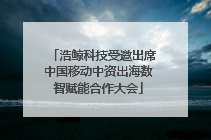 浩鲸科技受邀出席中国移动中资出海数智赋能合作大会