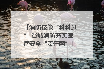 消防技能“科科过” 谷城消防夯实医疗安全“责任网”