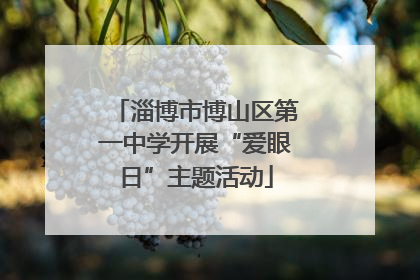 淄博市博山区第一中学开展“爱眼日”主题活动