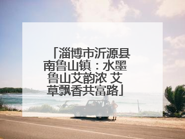 淄博市沂源县南鲁山镇：水墨鲁山艾韵浓 艾草飘香共富路