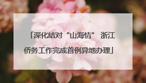 深化结对“山海情” 浙江侨务工作完成首例异地办理
