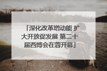 深化改革增动能 扩大开放促发展 第二十届西博会在蓉开幕