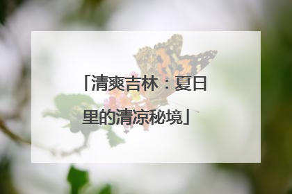 清爽吉林：夏日里的清凉秘境