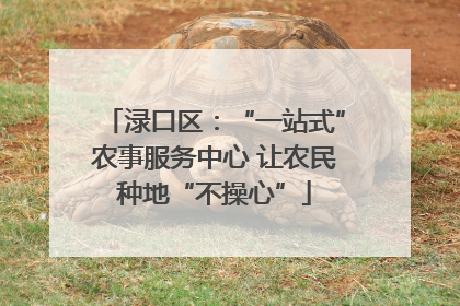 渌口区：“一站式”农事服务中心 让农民种地“不操心”