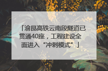 渝昆高铁云南段隧道已贯通40座，工程建设全面进入“冲刺模式”