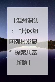 温州洞头：“片区组团强村发展”探索共富新路