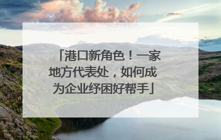港口新角色！一家地方代表处，如何成为企业纾困好帮手