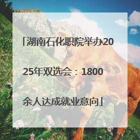湖南石化职院举办2025年双选会：1800余人达成就业意向