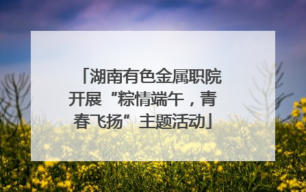 湖南有色金属职院开展“粽情端午，青春飞扬”主题活动