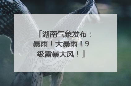 湖南气象发布：暴雨！大暴雨！9级雷暴大风！