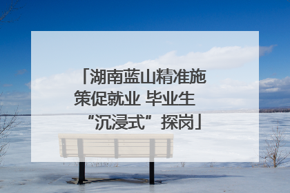 湖南蓝山精准施策促就业 毕业生“沉浸式”探岗