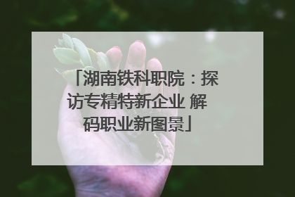 湖南铁科职院：探访专精特新企业 解码职业新图景