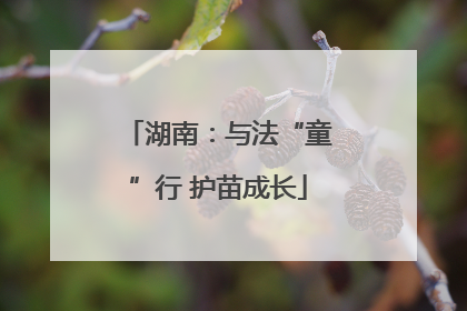 湖南：与法“童”行 护苗成长