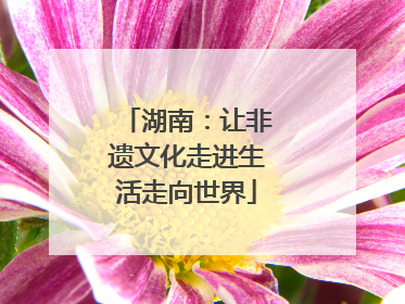湖南：让非遗文化走进生活走向世界