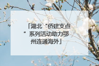 湖北“侨建支点”系列活动助力鄂州连通海外