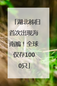 湖北秭归首次出现海南鳽！全球仅存1000只