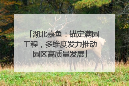 湖北嘉鱼：锚定满园工程，多维度发力推动园区高质量发展