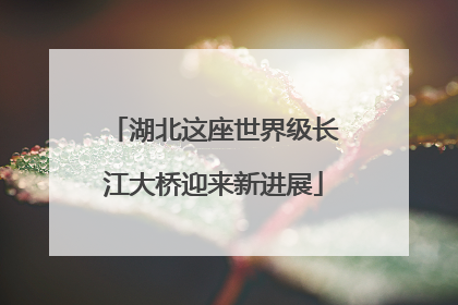 湖北这座世界级长江大桥迎来新进展