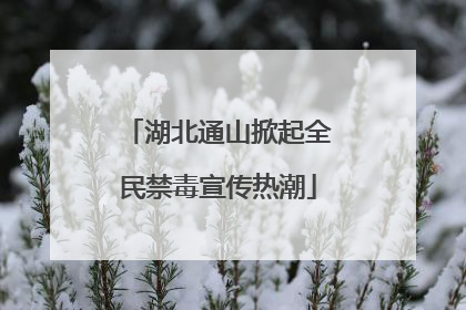 湖北通山掀起全民禁毒宣传热潮