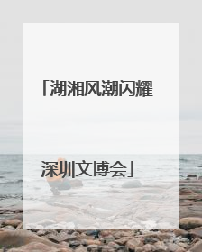 湖湘风潮闪耀深圳文博会