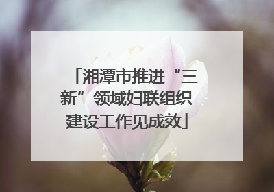 湘潭市推进“三新”领域妇联组织建设工作见成效