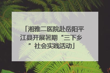 湘雅二医院赴岳阳平江县开展暑期“三下乡”社会实践活动
