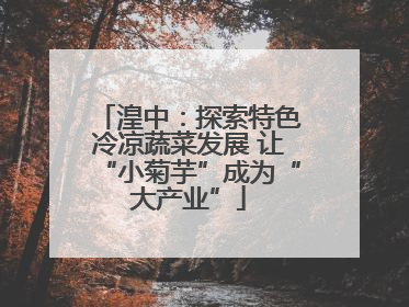 湟中：探索特色冷凉蔬菜发展 让“小菊芋”成为“大产业”