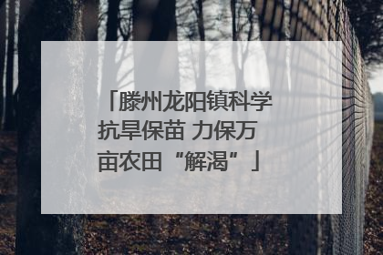 滕州龙阳镇科学抗旱保苗 力保万亩农田“解渴”